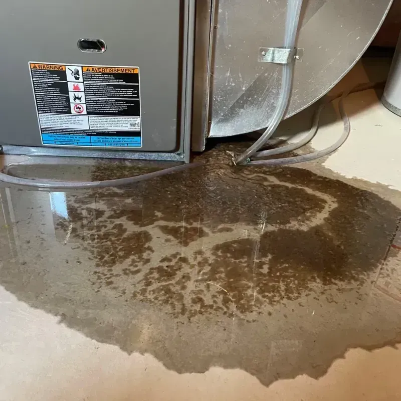 Appliance Leak Cleanup in Maywood, CA